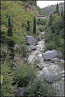 DSC_1221.JPG