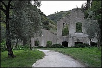 DSC_1229.JPG