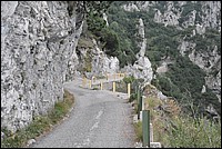 DSC_1299.JPG