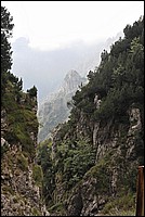 DSC_1309.JPG