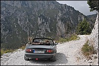 DSC_1313.JPG