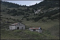 DSC_1324.JPG