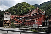 DSC_1355.JPG