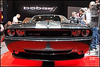 DSC_5231.JPG