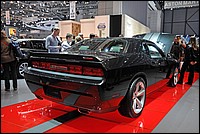 DSC_5256E.jpg