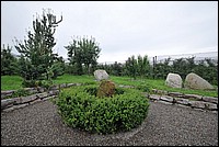 DSC_9228.JPG