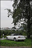 DSC_9237.JPG