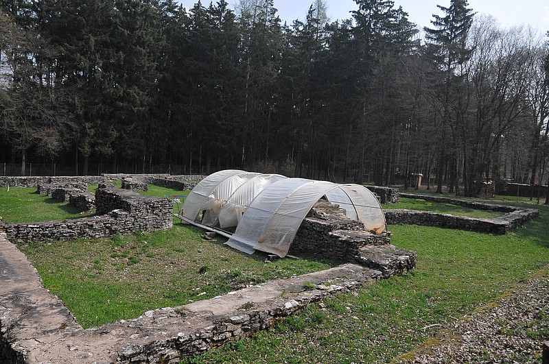 DSC_5492.JPG