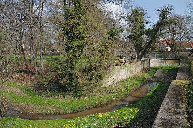 DSC_5563.JPG