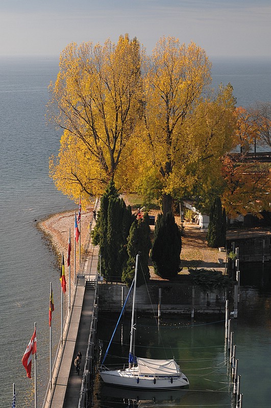 DSC_3297DPT.jpg