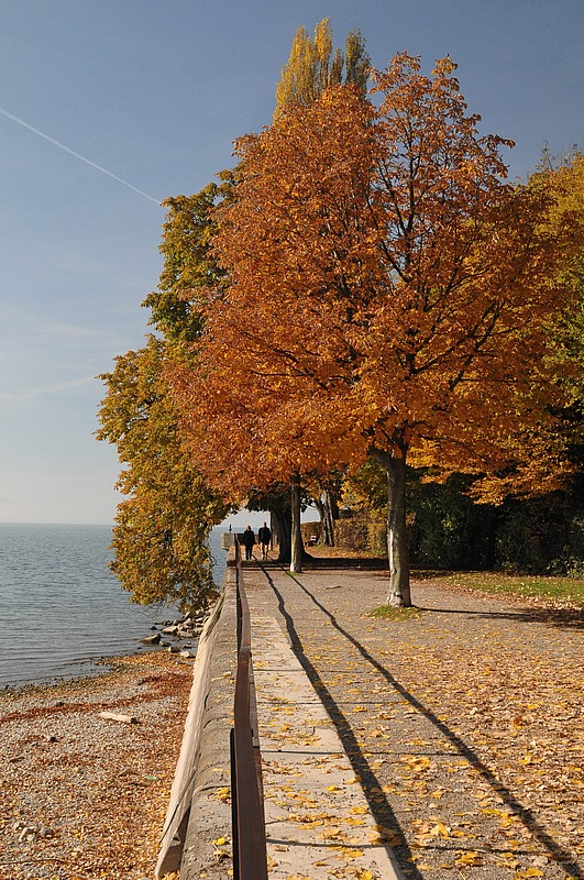 DSC_3339D.jpg
