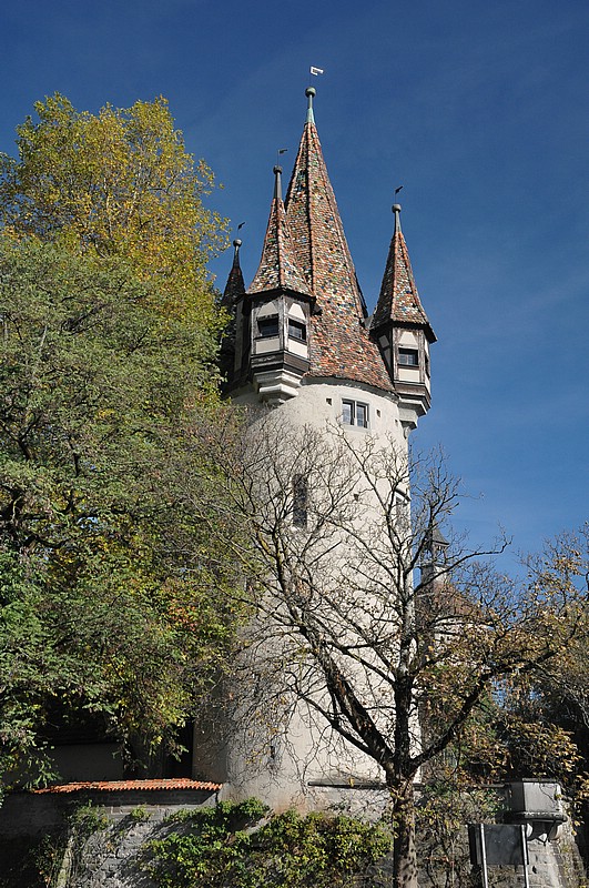 DSC_3395.JPG