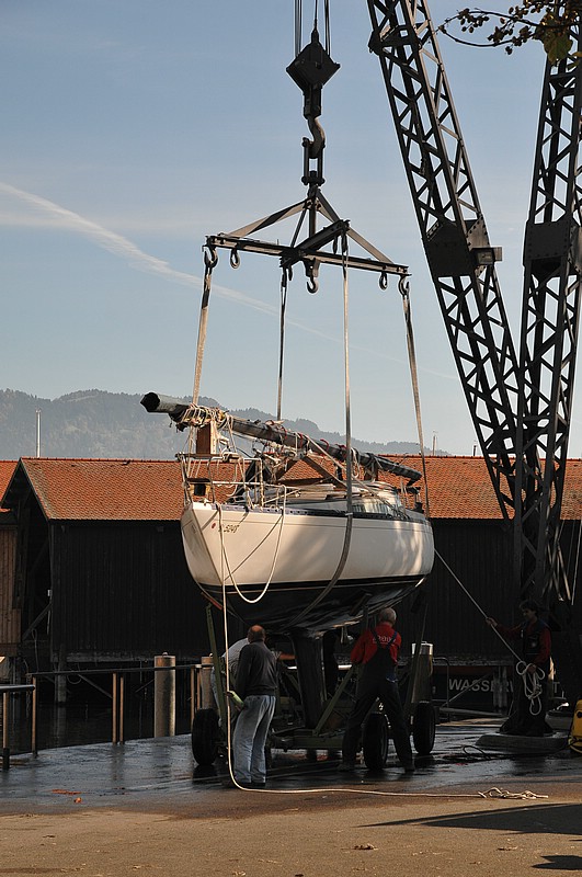 DSC_3447.JPG