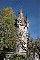 DSC_3395.JPG