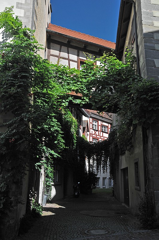 DSC_9943G.jpg