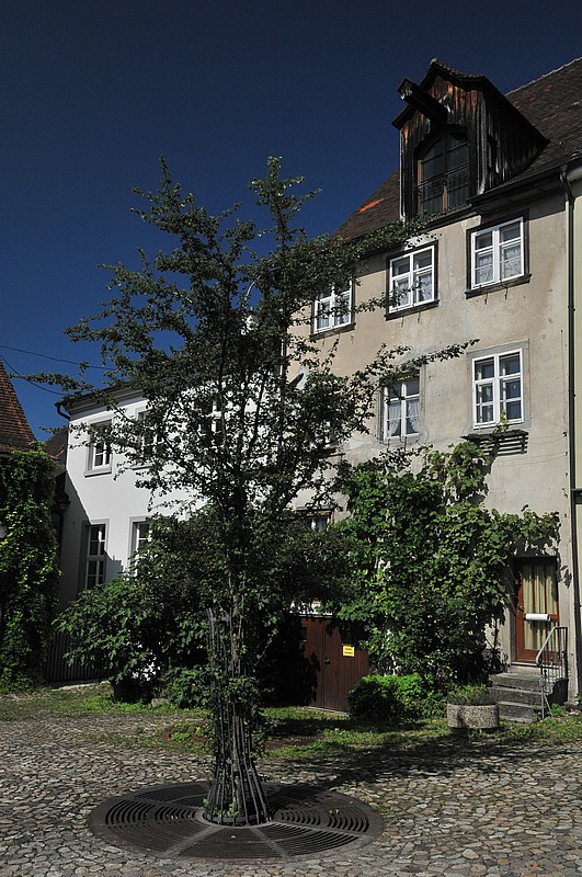 DSC_9950.JPG