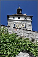 DSC_0110.JPG