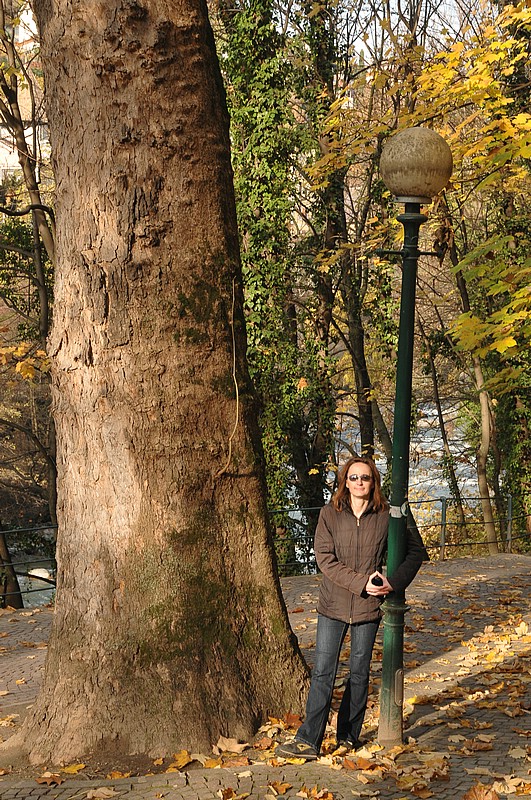 DSC_4162.JPG