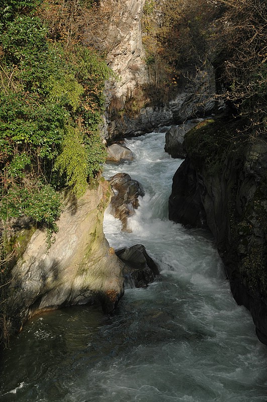 DSC_4201.JPG