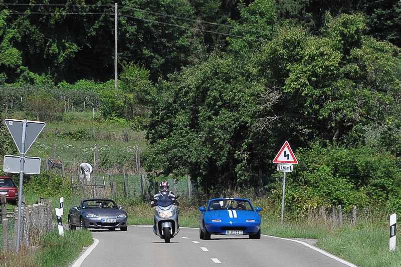 DSC_9468C.jpg