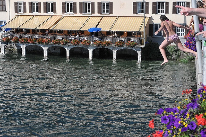DSC_9529CD.jpg