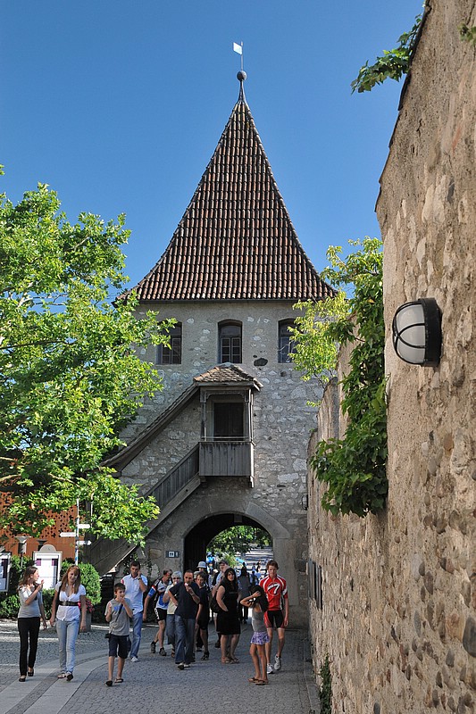 DSC_9546D.jpg