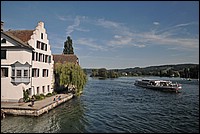 DSC_9519.JPG