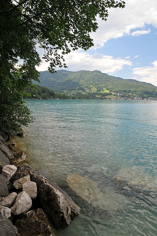DSC_3127.JPG