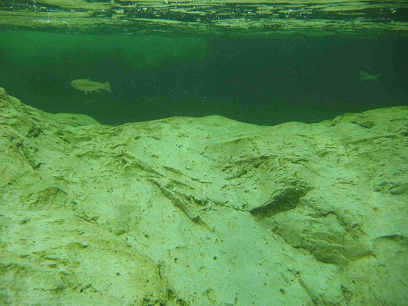 WBT_20.JPG