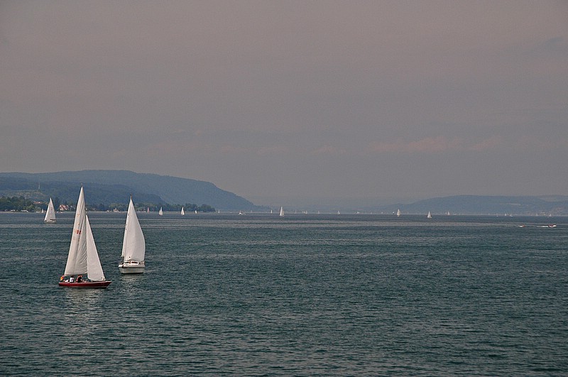 DSC_2373G.jpg