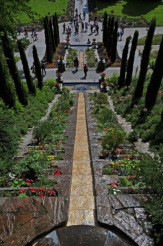 DSC_2396GCo.jpg
