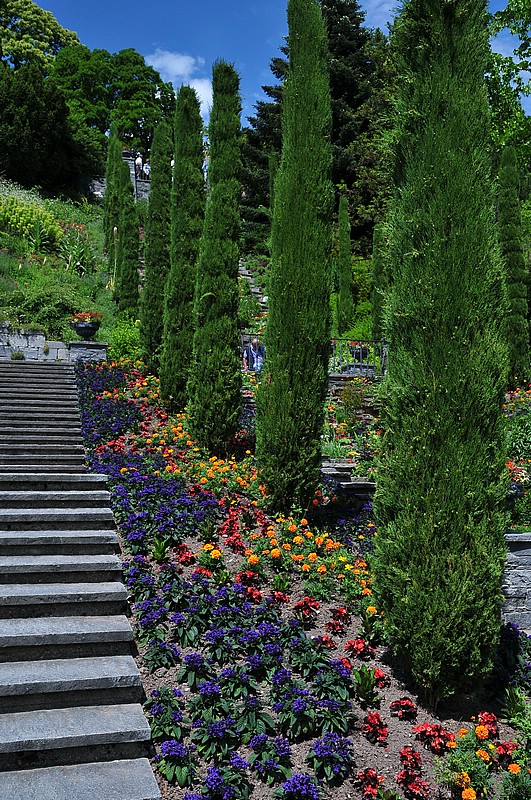 DSC_2435.JPG