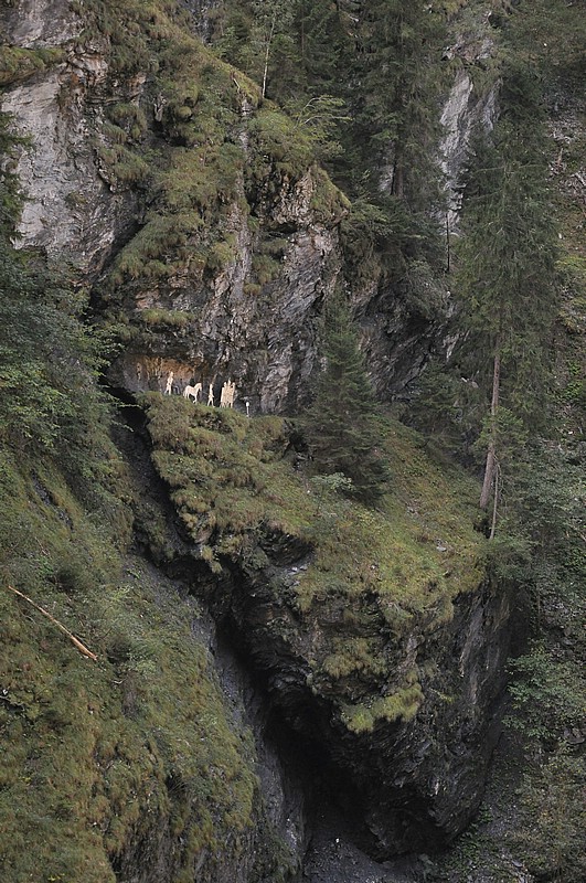 DSC_0495.JPG