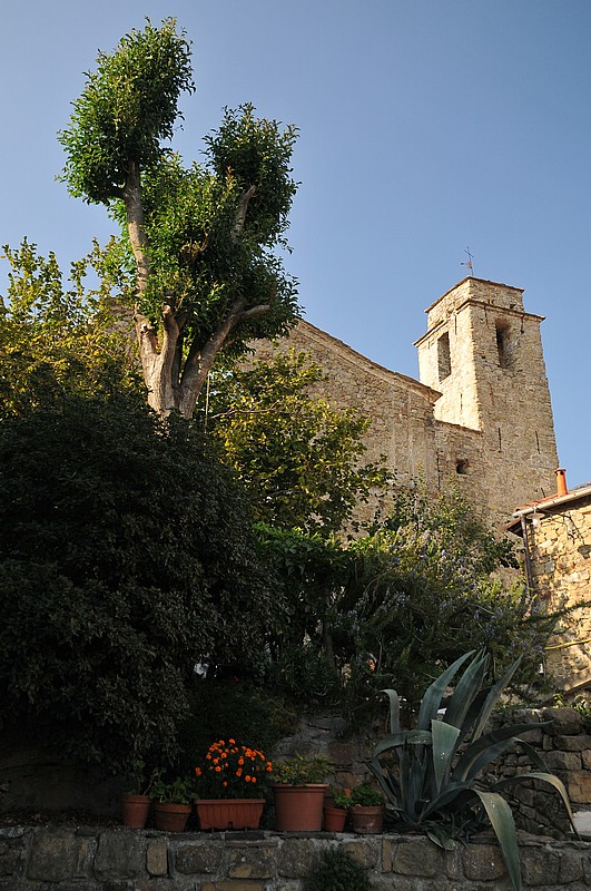 DSC_0824.JPG