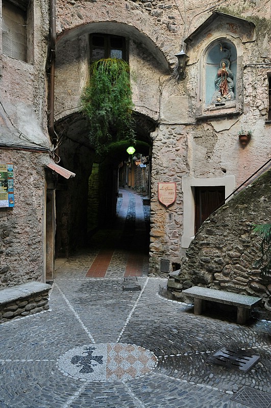 DSC_1242.JPG