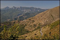 DSC_0710.JPG