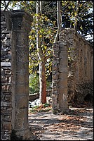 DSC_0750.JPG