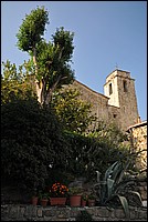 DSC_0824.JPG