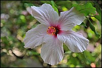 DSC_0927.JPG
