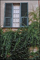 DSC_1177.JPG