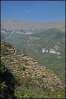 DSC_1299.JPG