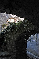 DSC_1380G.jpg