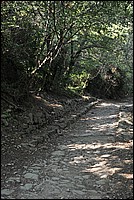 DSC_1459.JPG
