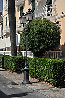 DSC_1529.JPG