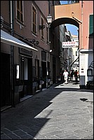 DSC_1543.JPG