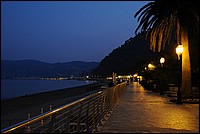 DSC_1653.JPG