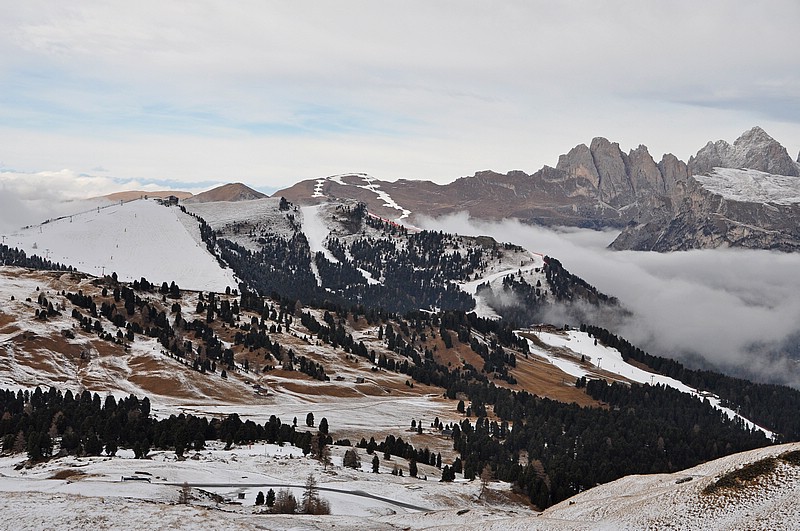 DSC_0036E.jpg