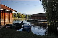 DSC_3729G.jpg