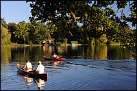 DSC_3746D.jpg