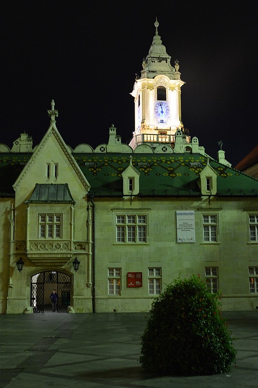 DSC_0184D.jpg